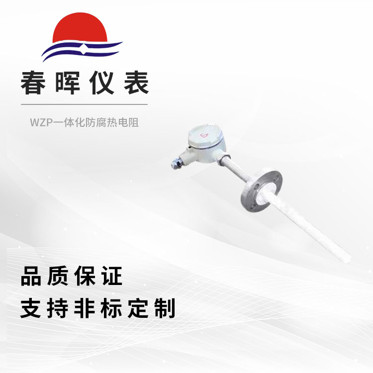 WZP一体化防腐热电阻